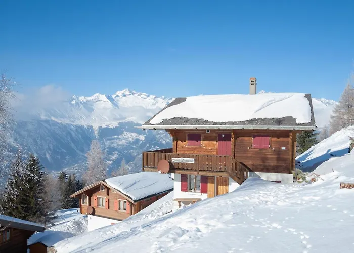 Saflischmannli Auf Der Alpe Daire